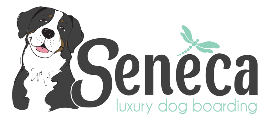 Seneca Pet Care